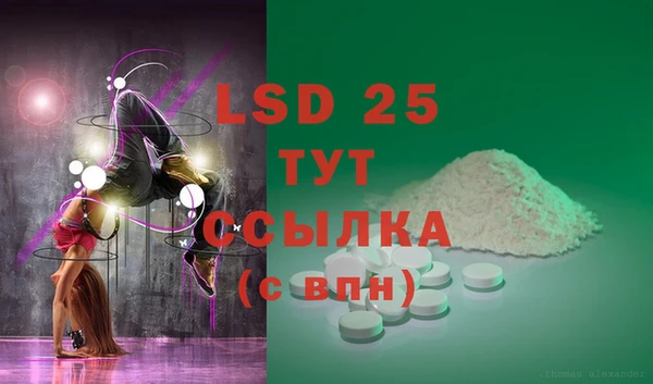 дмт Алзамай
