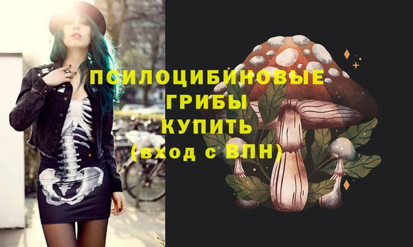 дмт Алзамай