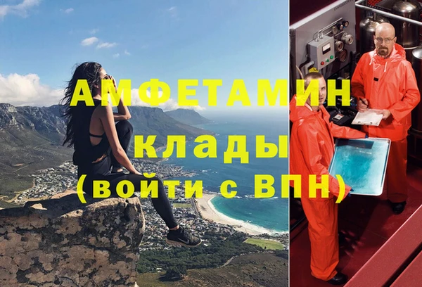дмт Алзамай