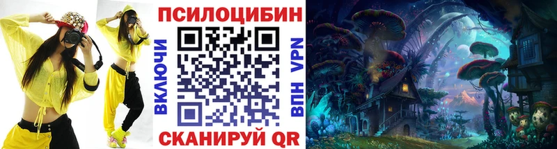 купить   МЕГА зеркало  Галлюциногенные грибы GOLDEN TEACHER  Камешково 